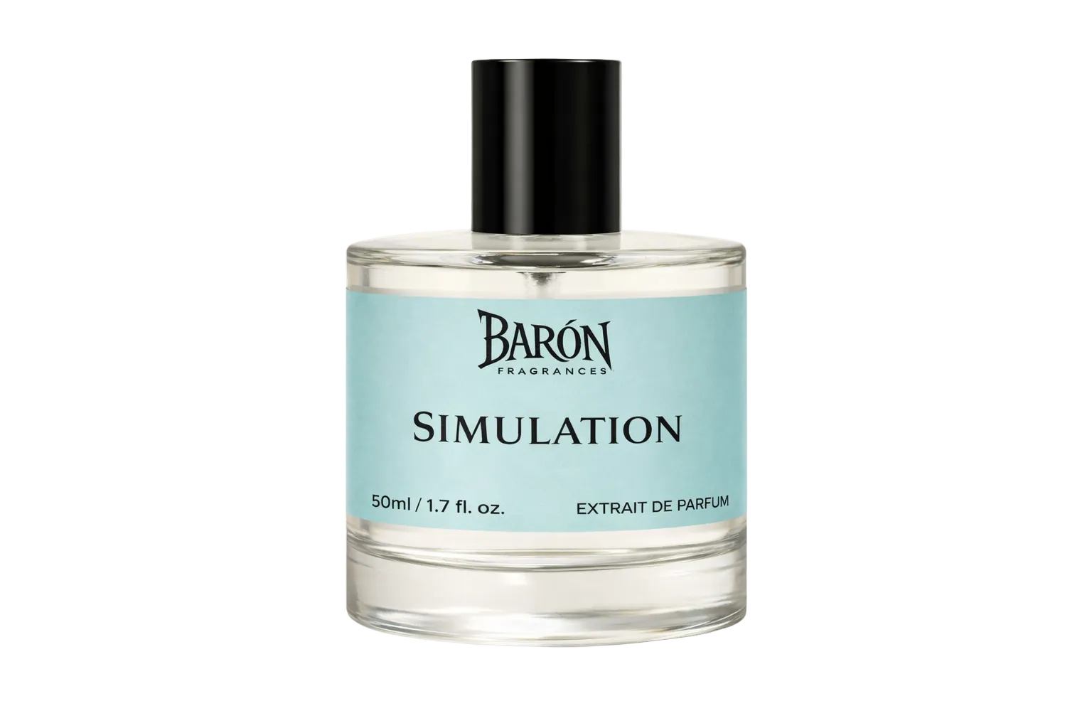 Simulation Inspired by Imagination