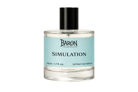 Simulation Inspired by Imagination